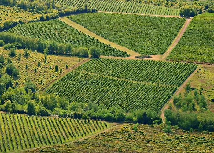 House Ive- Romantische Flucht- Jacuzzi- Pool- By Interhome Semesterbostad